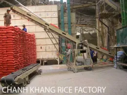 Jasmine rice