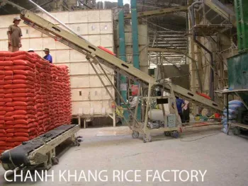 Jasmine rice