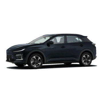 2024 SUV elettrico Neta X: 4WD, 500 km