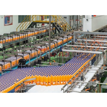 Automatyczny system przenośnika butelek do napojów butelkowanych i produktów mlecznych