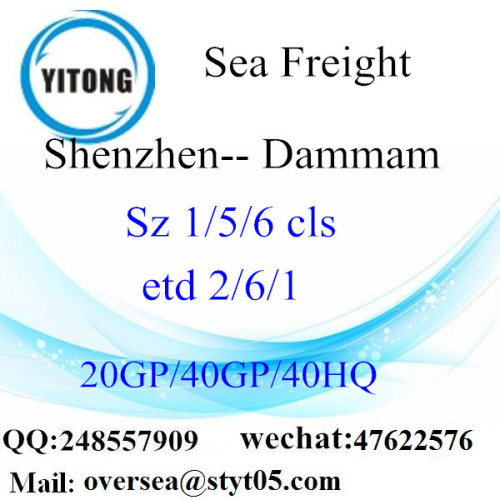 Shenzhen Port Sea Freight Shipping To Dammam