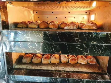 Electric 3 Trays Bread Toast Baking Deck Oven with Timing Device