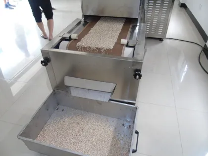 Automatic Microwave Belt Dryer for Morel Mushrooms and Other Vegetables - China Manufacturer