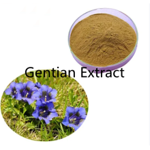 Buy online active ingredients Gentian Extract powder