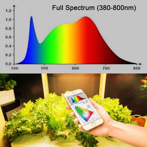Dependable performance 1000W High power LED Grow Light
