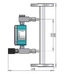 Variable Area Flowmeter (H-100)