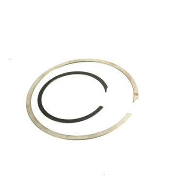 Retaining Rings & Circlips  Supplier of Quality Sealing Products
