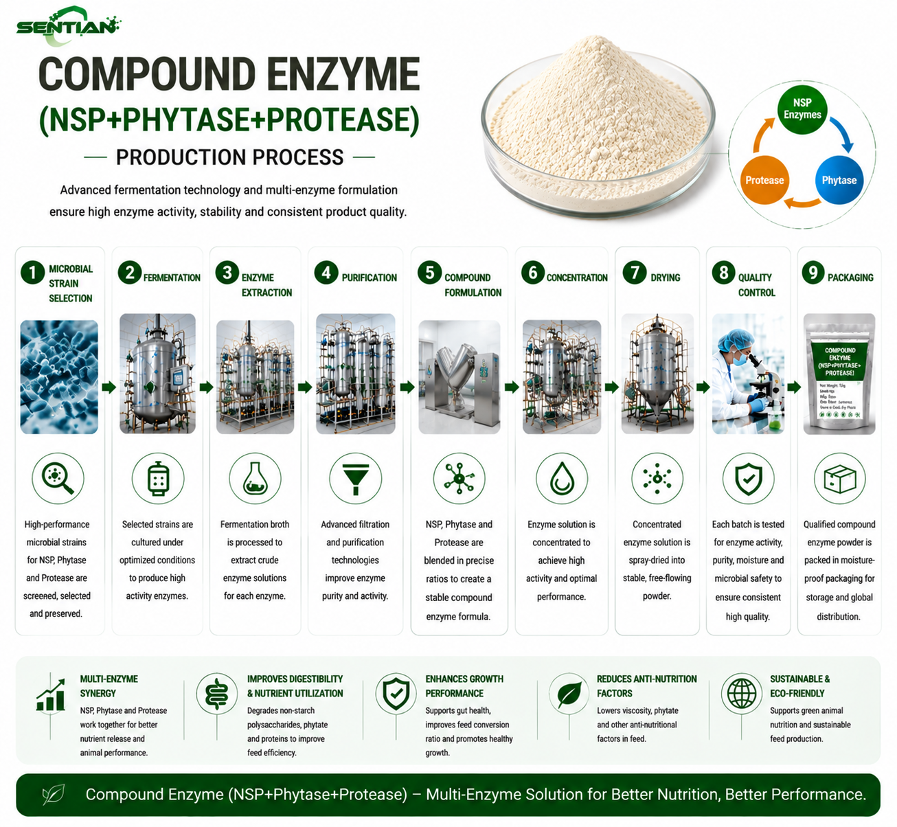 Compound Enzyme2
