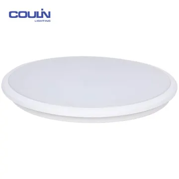 Professional Ceiling Light Color Changing Led