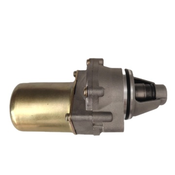 Starter Motor for SUZUKI TB50, GEELY QINGQI D1E41QMB: Replacement and Compatibility Guide