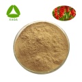 Schisandra Extract 2% Schisandrin Powder Protect Lever