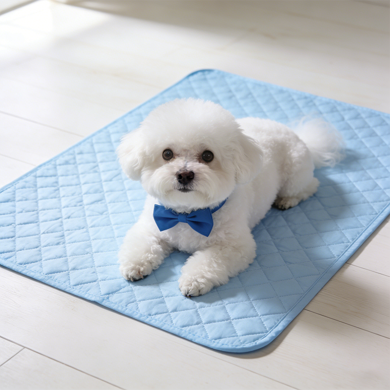 Изображение на картата