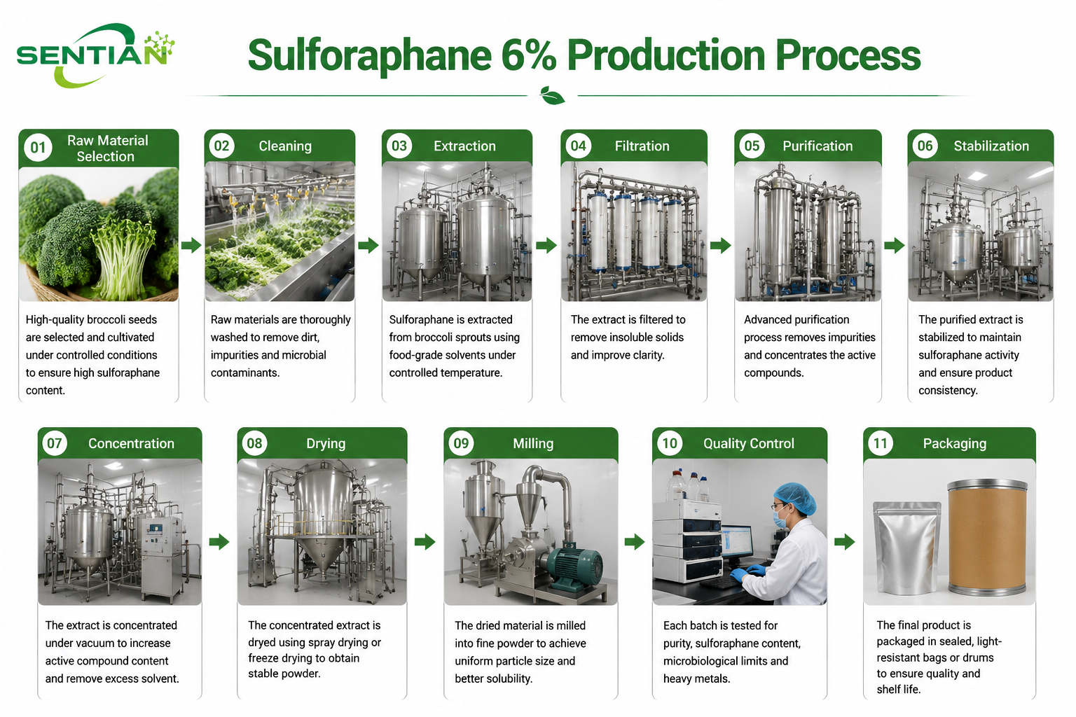 Sulforaphane 6%1