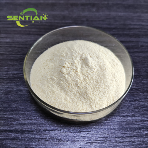 Organic Plant Extract Enhanced Whey Protein Isolate