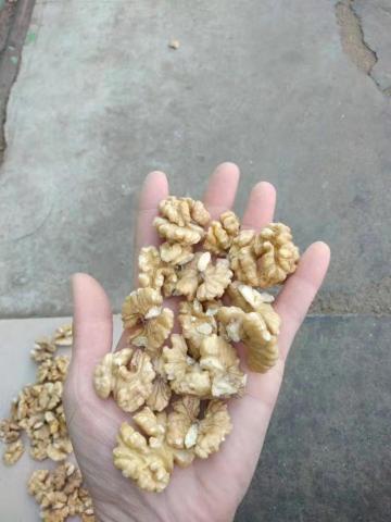 2021 new crop 185 paper shell walnuts