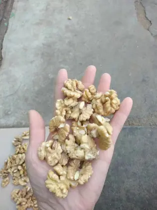 New Crop Xinjiang 185 Walnut For sale