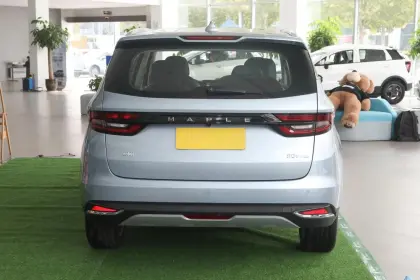 Maple Leaf 80v Pro 2022 New Energy Vehicle