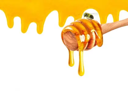 wholesale natural and pure bee honey low price