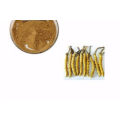 Cordyceps Sinensis Extract Cordycepin Powder Price