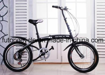 Good Quality of Folding Bike