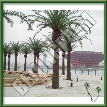 Hot sales Outdoor Palm Tree