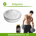 Cyanotis Arachnoidea Extract Beta-ecdysteron Poeder 80%