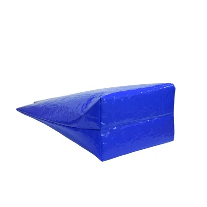 Insulated Cooler Bag