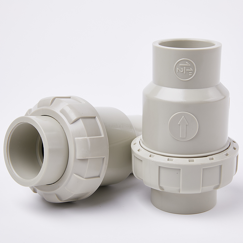 pph-ball-check-valve-corrosion-resistant.jpg