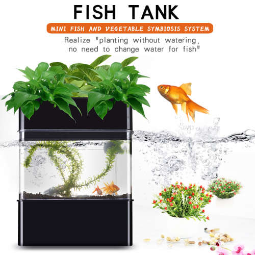 Su Bahçesi Balık Tankı Tesisi Aquaponics