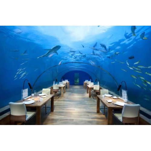 Large underwater World restaurant acrylic aquarium tunnel