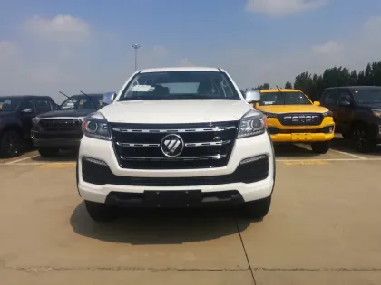 Wing Up Van Foton Pickup for Urban Logistics