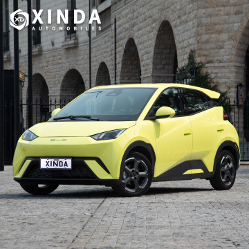 2024 BYD Seagull: Fast Electric Car with 405km/305km Range - Flying Edition for Europe