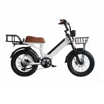 Full suspension 20'' 750W fat snow beach ebike
