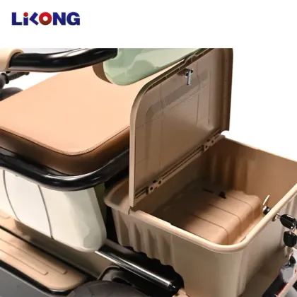 Lithium Battery Brushless Motor Electric Vehicles