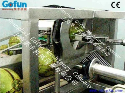 Coconut Milk Extractor Machine