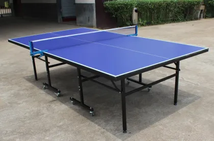 DHS Table Tennis Table