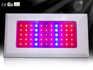 Hot Price Hydroponics & Horticulture Greenhouse LED Grow Pl
