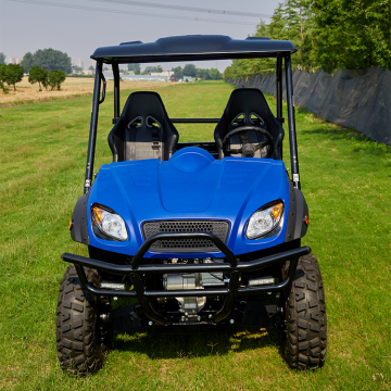 Customized Kids Electric UTV 10 kW Electric ATV 4x4 for Farm Use" 

However, considering typical search engine optimization and common phrasing, you might want something more direct:

"10 kW Electric ATV 4x4 Customized for Kids and Farms