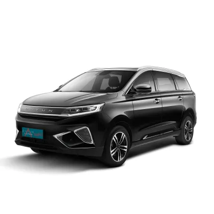 2023 Dayun Brand New Energy Electric Vehicle