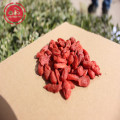 Promote Skin Health Kidney Benefits Organic goji Berries