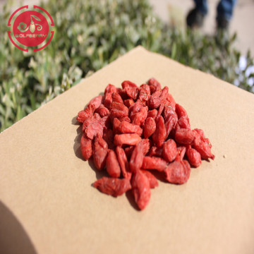 Sugar Free Antioxidant Nutritional  goji berry