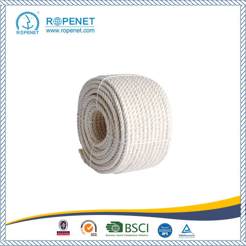 Good Price Natural Cotton Rope Hot Sale