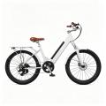 Σειρά H1 Electric City Bike