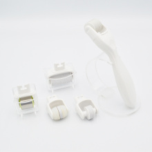 MNS 1,0mm 5 in 1 kit rullo mesoterapia