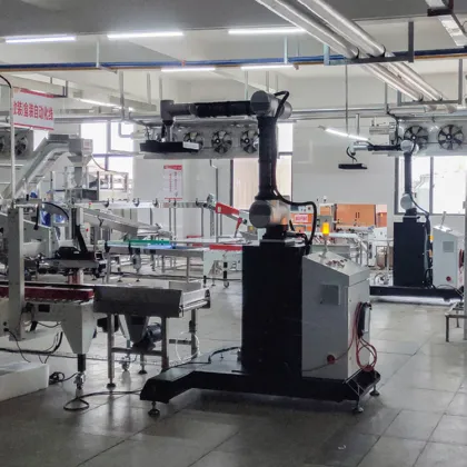 Advanced Robotics Solutions: End-of-Line Packaging, Bag Palletizing with Collaborative Robots