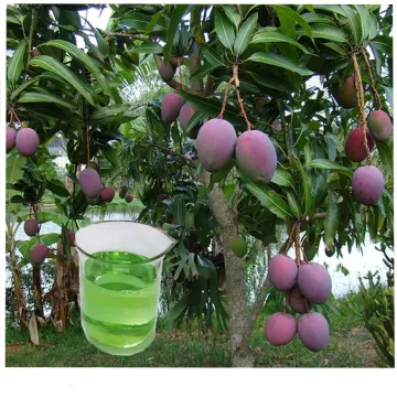 Natural Organic Liquid Calcium Fruit Fertilizer: Enhancing Plant Nutrition and Yield