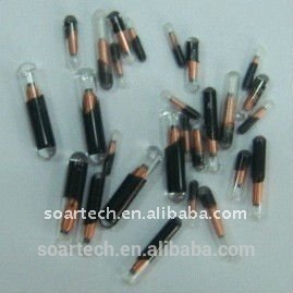 veterinary RFID syringe with enbedded glasstag