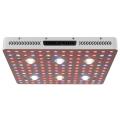 LED de espiga interna Crescer leve alto rendimento