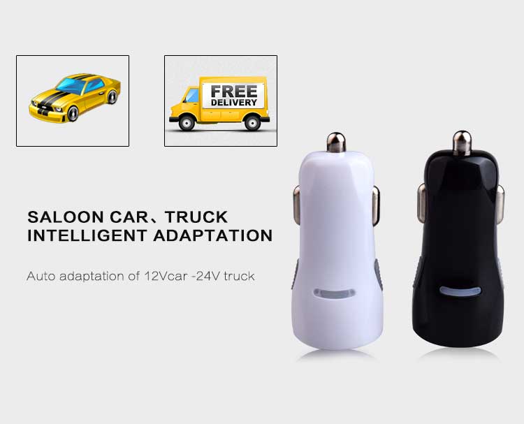 dual port usb car charger (1)