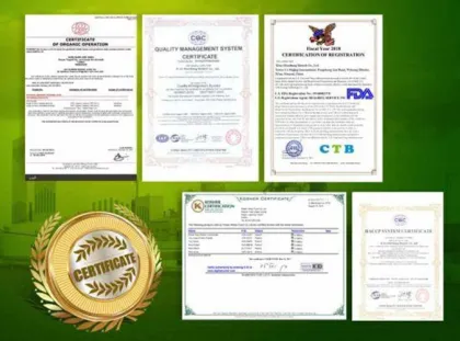 Whey Protein Powder Whey Protein Oem Whey Protein